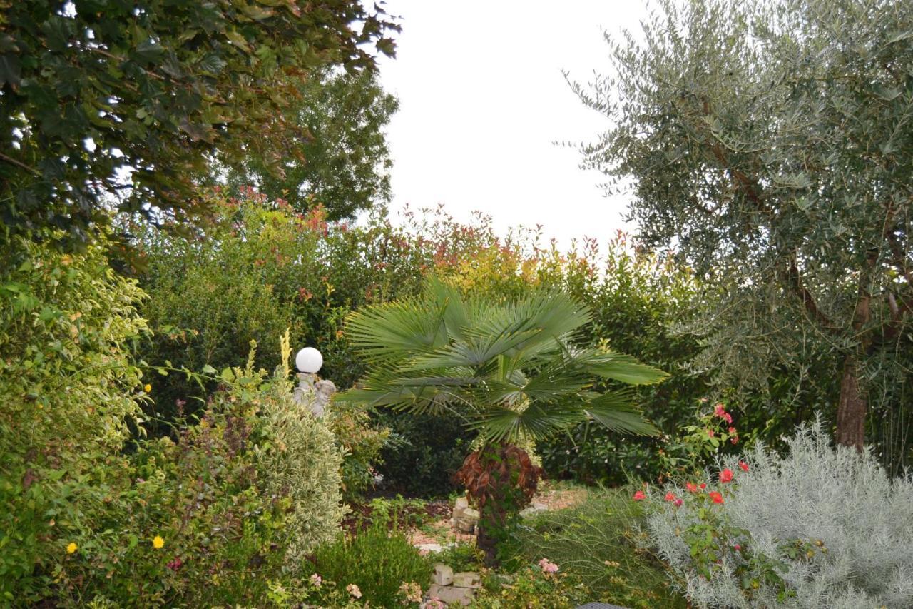 Bed & Breakfast Casa Nives San Pietro in Casale